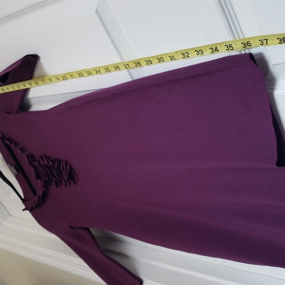 ANN TAYLOR  FALL DRESS - Picture 5 of 7